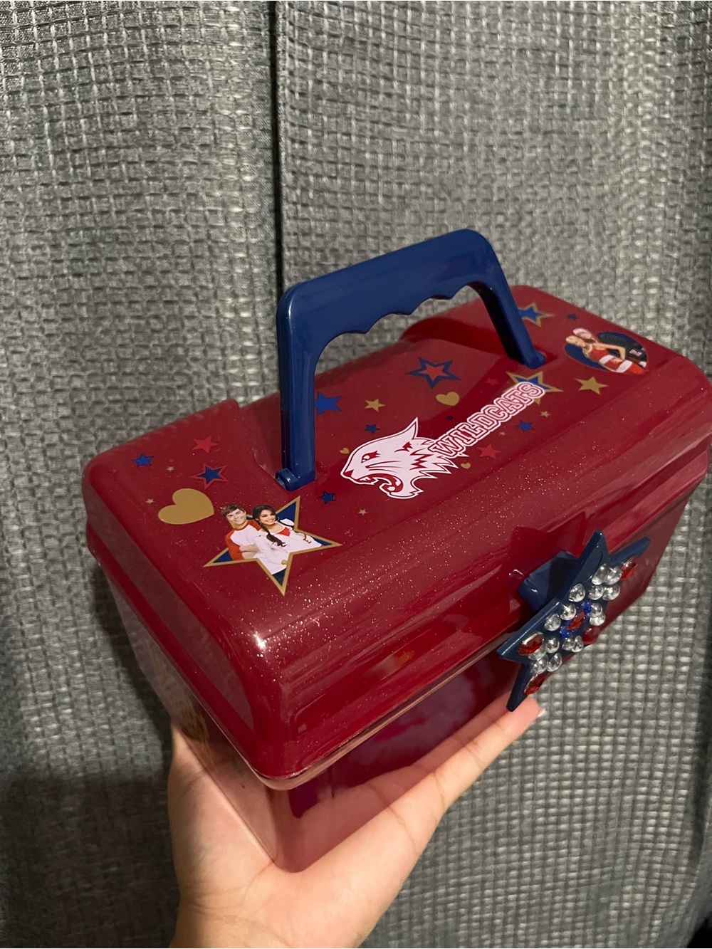High school Musical Girls Caboodle